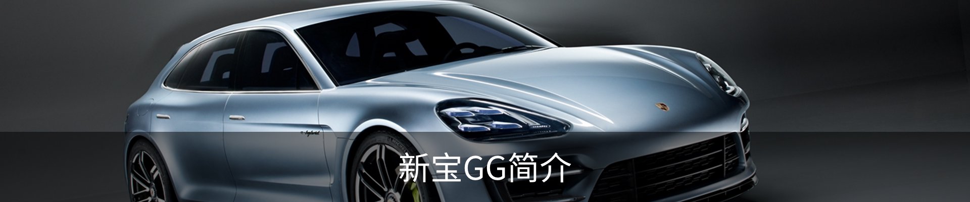 新宝GG简介